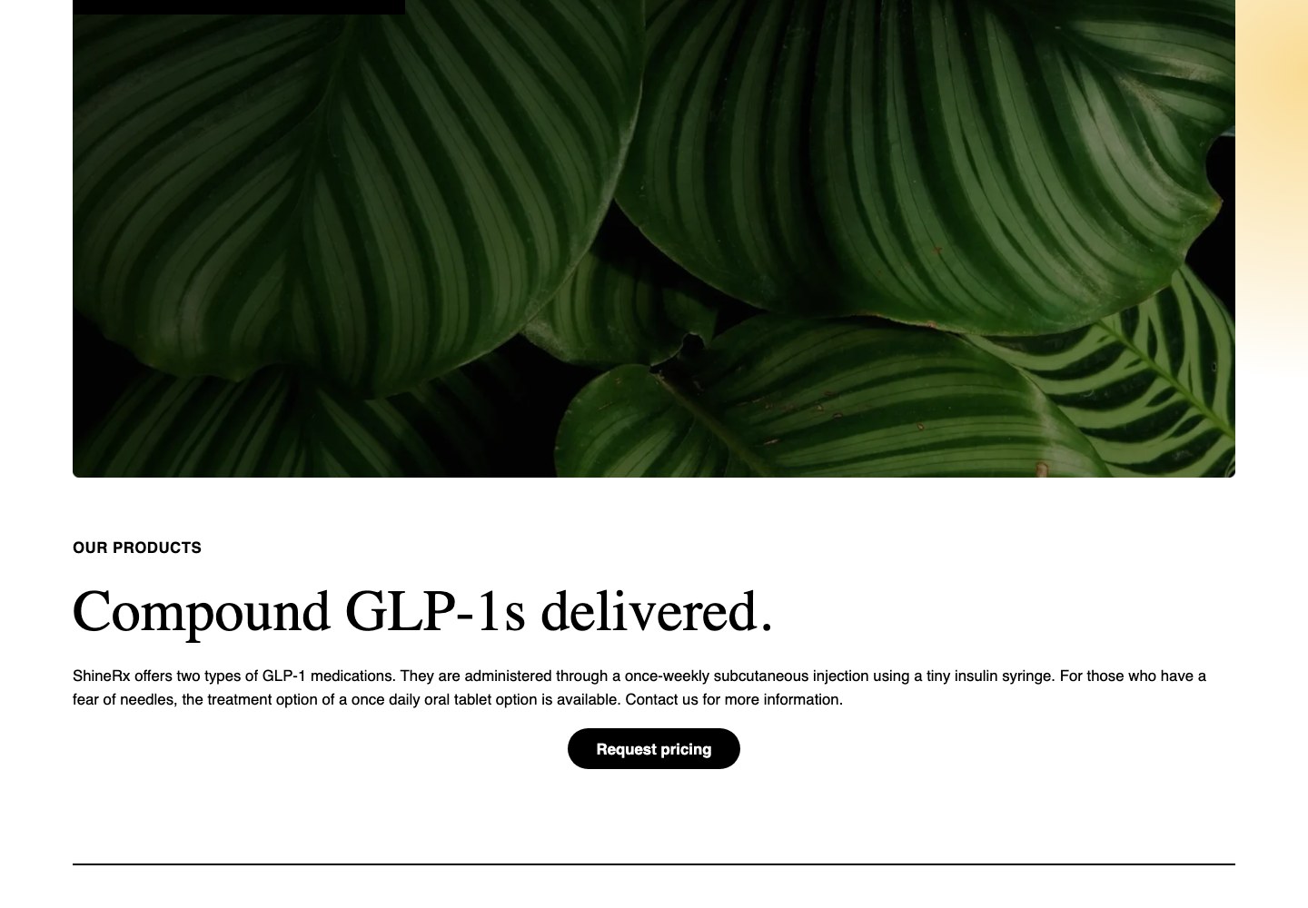 Homepage screenshot